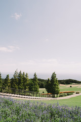 Awaji Hanasajiki Park 