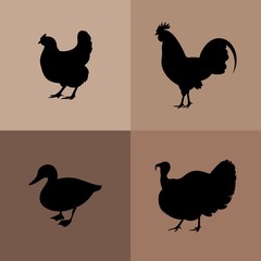 Chicken, rooster, duck, turkey vector silhouettes. Farm animals silhouettes