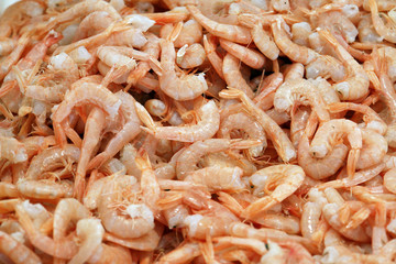 Fresh shrimps