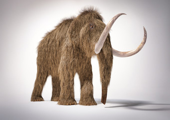 Woolly mammoth realistic 3d illustration. Front perspective view.