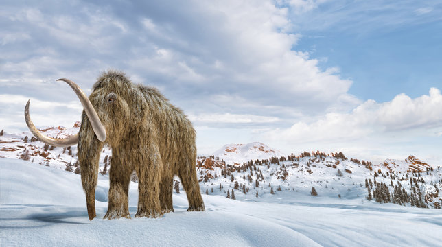 Woolly mammoth scene in environment with snow. realistic 3d illustration.