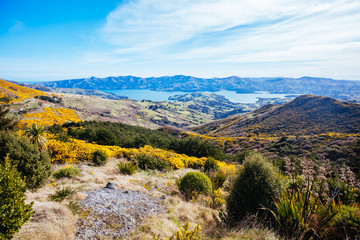 Banks Peninsula