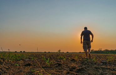 Fototapeta premium Hombre Caminando Hacia el Atardecer