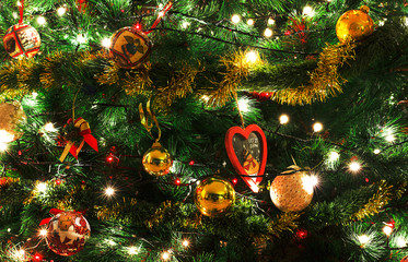 Full background christmas tree - 292530251