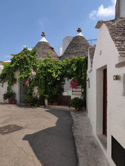 Street  of Trulli houses in Alberobello