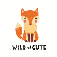 Hand drawn vector illustration of a cute funny fox, with lettering quote Wild and cute. Isolated objects on white background. Scandinavian style flat design. Concept children print. Woodland animal.