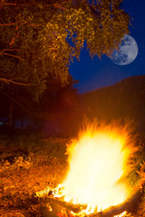 closeup burning campfire on a forest glade at the night and full moon shining on a sky