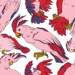 Vector Sky bird cockatoo in a wildlife isolated. Black and white engraved ink art. Seamless background pattern. © LIGHTFIELD STUDIOS
