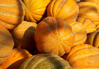 A mountain of yellow, ripe melons.
