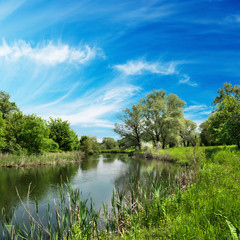 Fototapeta na wymiar summer landscape, river and blue sky