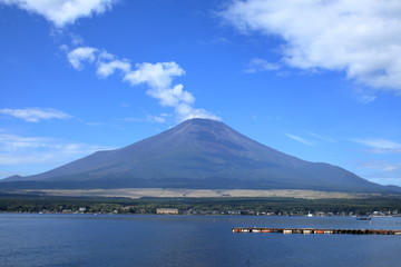 Fototapeta premium Mt.Fuji from the banks of Lake Yamanaka