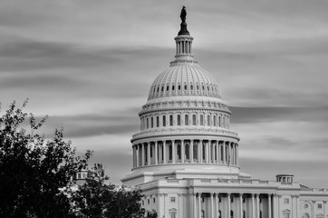 Fototapeta premium United States Capitol Dome in cloudy day - Black and white - Washington D.C. United States of America