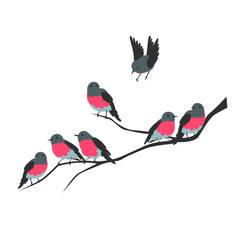 birds on a branch. vector image of birds