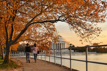 Jefferson Memorial in autumn foliage - Wasihngton D.C. United States of America