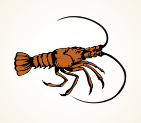 Lobster. Vector drawing