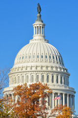 Fototapeta na wymiar U.S. Capitol Building in autumn foliage - Washington D.C. United States of America