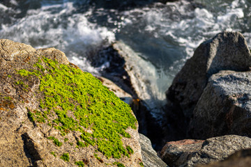 Stones are covered by green moss with the waves of the sea at the background.