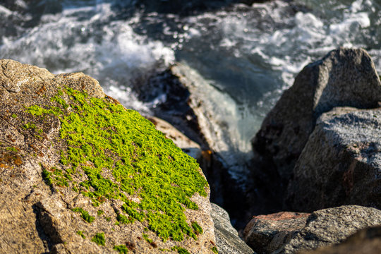 Stones are covered by green moss with the waves of the sea at the background. © Pavel