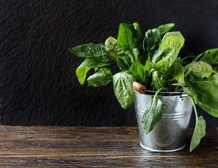 vegetable spinach in a small bucket. succulent leaves and stems of spinach grown organically. dark background. copy space