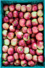 Fresh ripe red apples from orchard, displayed for sale in a plastic box, at a street food market, soft focus