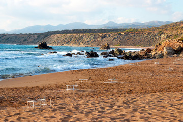 .Turtle nests on Lara beach. Akamas, Cyprus