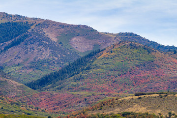 Fototapeta na wymiar Fall color in mountains