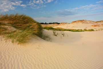 Słowiński Park Narodowy,wydmy na Wybrzeżu Morza Bałtyckiego,Polska. © Konrad Uznański
