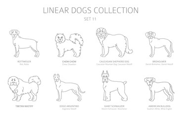 Simple line dogs collection isolated on white. Dog breeds. Flat style clipart set