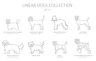 Simple line dogs collection isolated on white. Dog breeds. Flat style clipart set