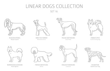 Simple line dogs collection isolated on white. Dog breeds. Flat style clipart set