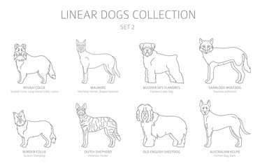 Simple line dogs collection isolated on white. Dog breeds. Flat style clipart set