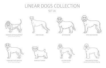 Simple line dogs collection isolated on white. Dog breeds. Flat style clipart set