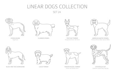 Simple line dogs collection isolated on white. Dog breeds. Flat style clipart set