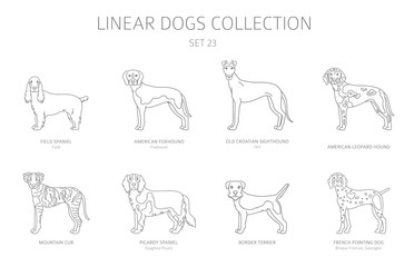 Simple line dogs collection isolated on white. Dog breeds. Flat style clipart set