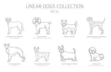 Simple line dogs collection isolated on white. Dog breeds. Flat style clipart set