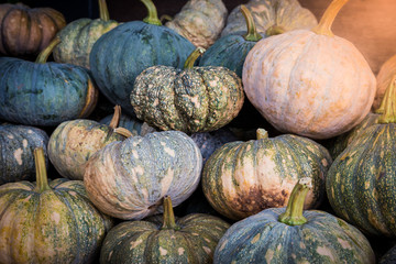 pumpkins are used for background illustrations in the field of food
