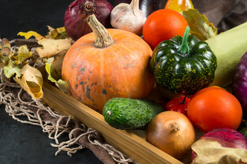 pumpkins, of Guurti, tomato, onion, dry autumn leaves on dark background autumn vegetables
