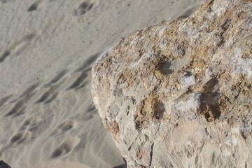 pierre fond ordinateur