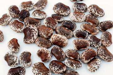 Colorful soy beans on white background, protein, vegetarian.