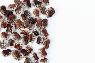 Colorful soy beans on white background, protein, vegetarian.
