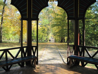 view from gazebo  in the park