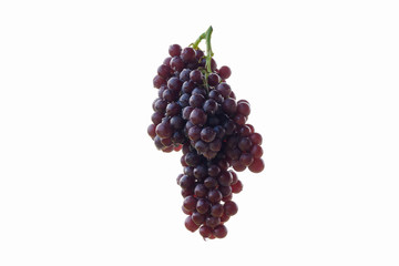 Bunch of grapes