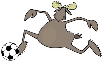 Bull moose running with a soccer ball
