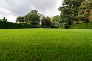 Views around old English garden in Autumn