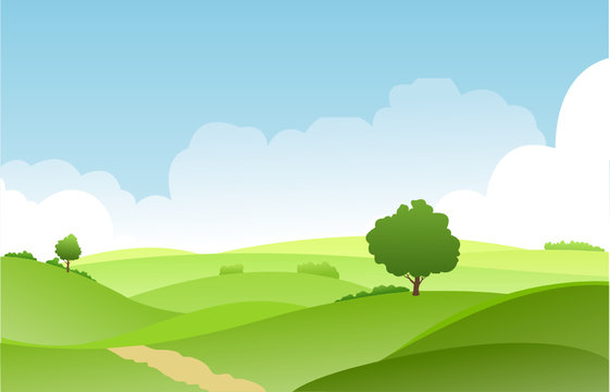 landscape summer green fields with grass,trees,white cloud and blue sky .vector