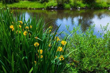 Ambroz Valley. Cáceres. Extremadura. Spain, EUROPE