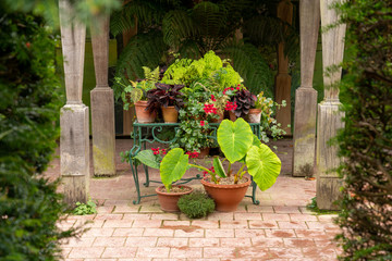 Fototapeta na wymiar Flowers on old stone patio in English garden