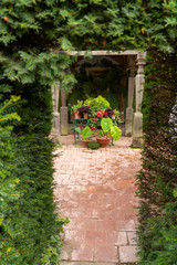 Flowers on old stone patio in English garden