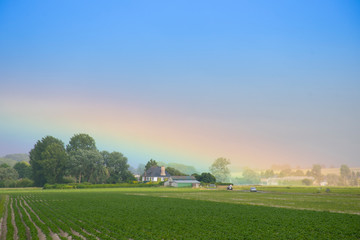 Fototapeta na wymiar Rainbow after rain at country side on plantation field in France.