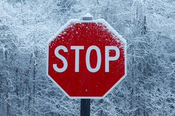 stop sign in a winter snowstorm 